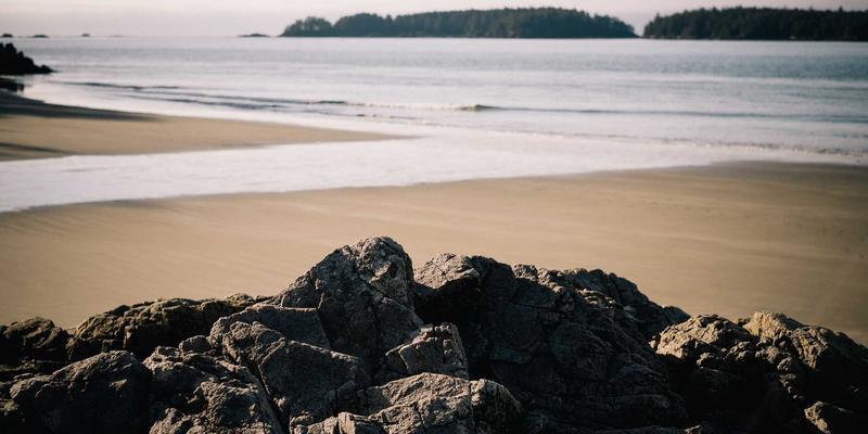 Indian Culture Unveiled Through Spices: Ancient Tribal Recipes from the Seven Sisters and Madhya Pradesh