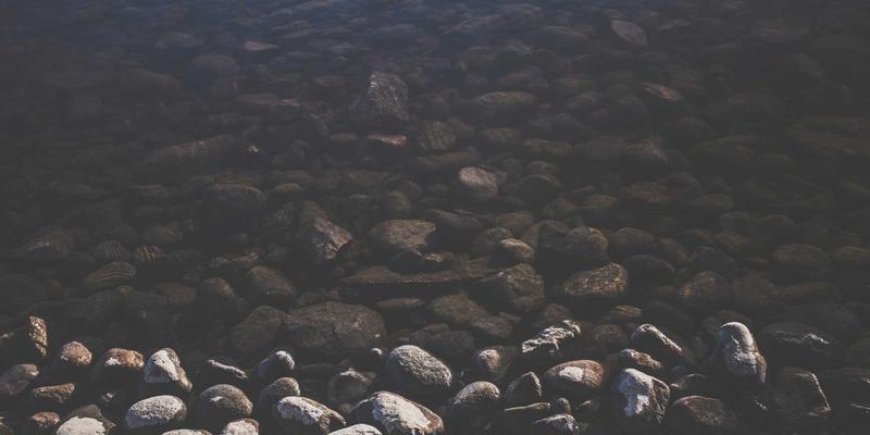 Masala Express：印度甜点中的糖与哲学，为何甜蜜是庆祝与奉献的核心