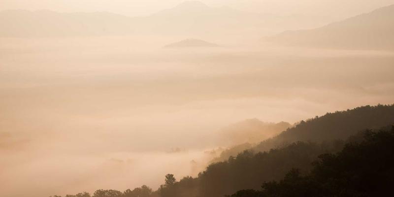 Masala Express:在香料快车中探寻印度美食的传承与创新