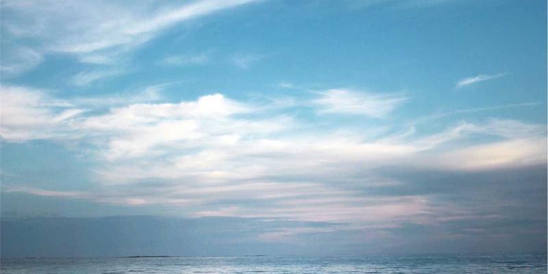 Masala Express：探索印度豆类美食的文化与营养之旅，从达尔汤到鹰嘴豆玛莎拉