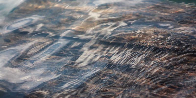 从Masala Express到家庭厨房：印度美食的全球新浪潮与烹饪趋势