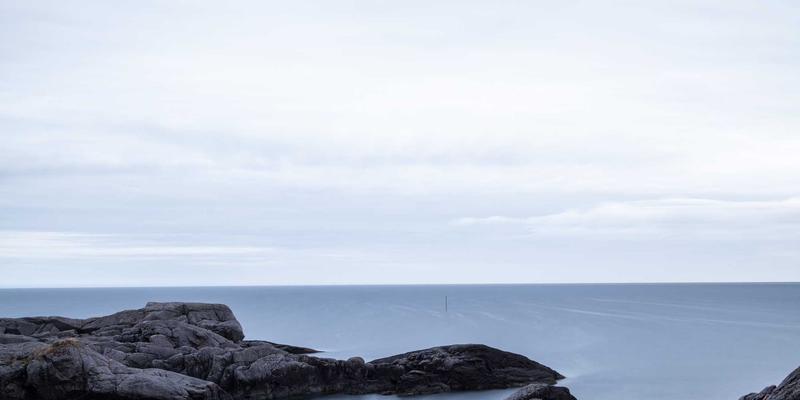 从Masala Express看印度美食的全球传播:香料、食谱与商业智慧