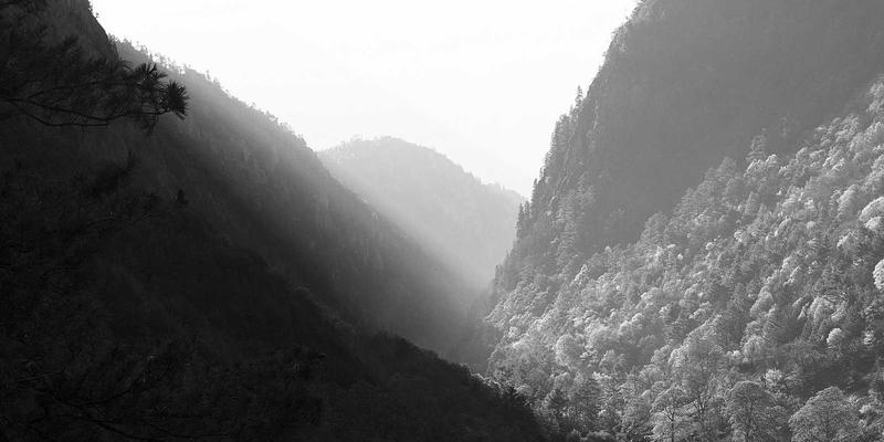 印度沿海美食之旅：探索喀拉拉邦与果阿邦的海鲜料理与文化传承