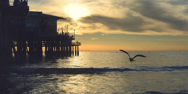 印度烧烤艺术：从Tandoori的千年秘方到街头Kebab的烟火传奇