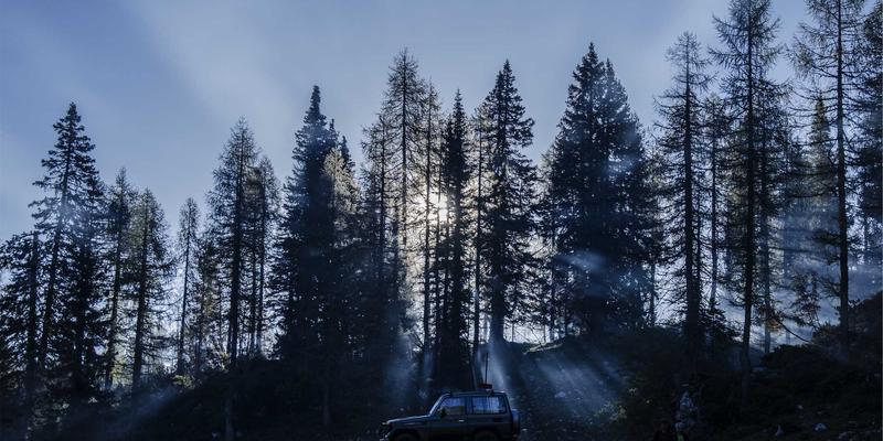 印度茶文化探秘：从街头玛萨拉茶到香料奶茶的家常煮法