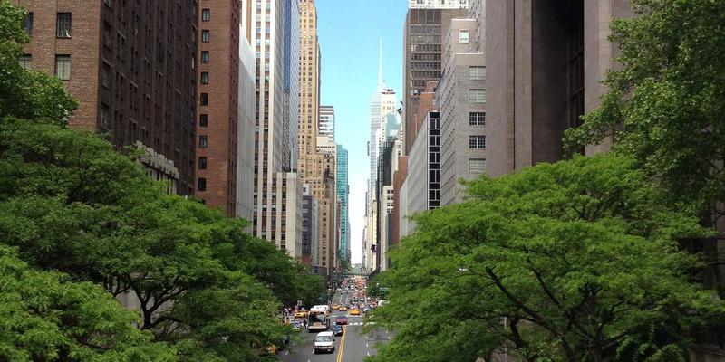 探索印度美食遗产：从Idli、Dosa面糊到街头发酵饮品Kanji的健康密码